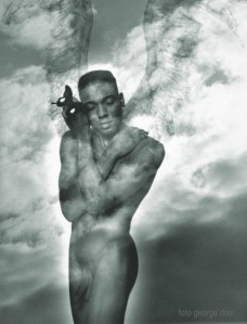 Dream Angel / Angels and Other Species 1994