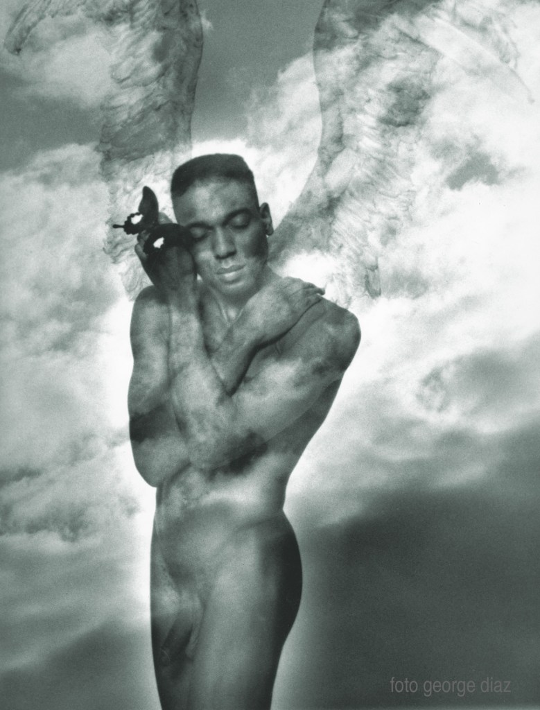 Dream Angel / Angels and Other Species 1994