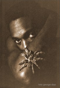 Spiderman / Angels and Other Species 1994